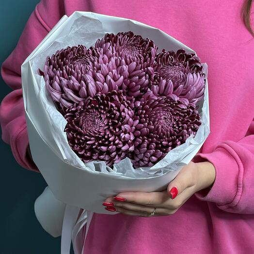 Хризантемы «Бигуди S»