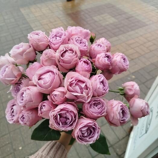 Пионки