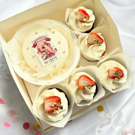 Bento Cake and Cupcakes for Mom on Mother's Day
