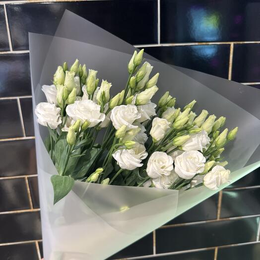 Eustoma