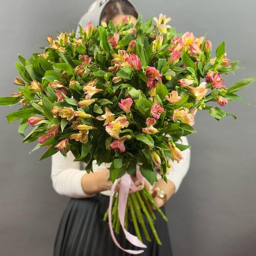 Альстромерия Микс