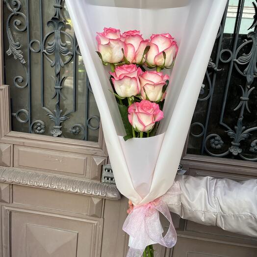 Jumilia Roses