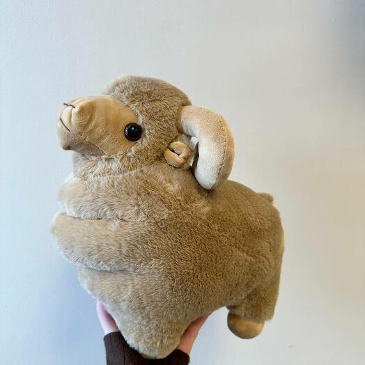 Баран 🐏 маленький