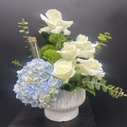 Blue hydrangea in a pot