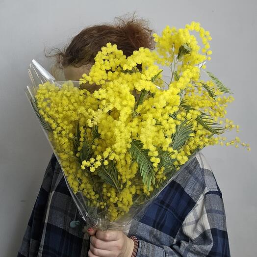 Ramo de Mimosa fragante