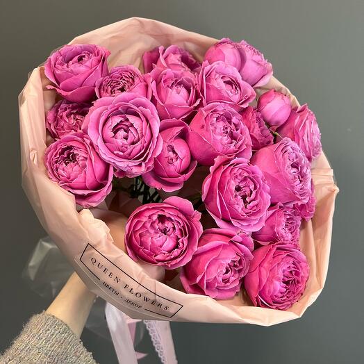 HIT🔥Misty Bubbles peonía rosa arbusto