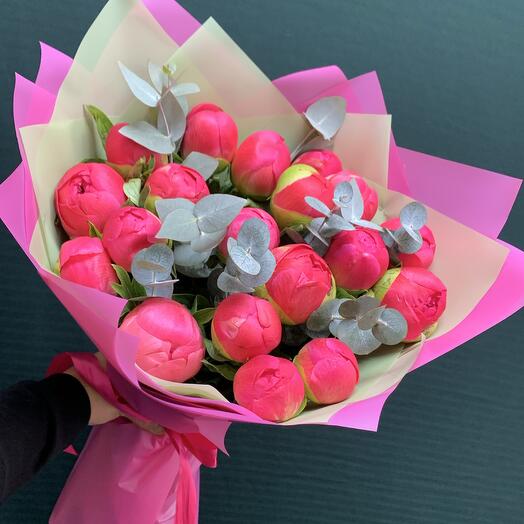 Пионы коралловые 19