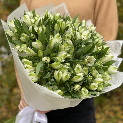 29 белых альстромерий