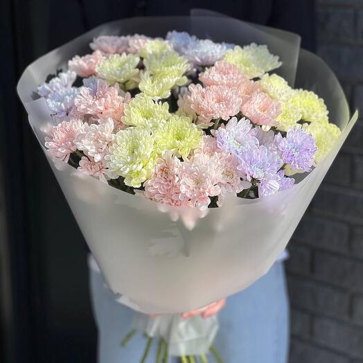 Микс из 11 кустовых цветных хризантем
