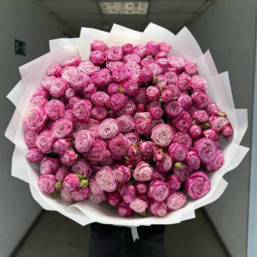 Bush rose peony-shaped