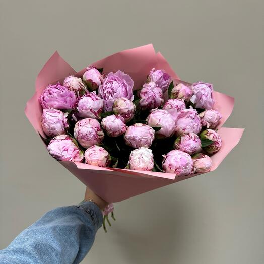25 пионов Сара Бернар 🌸🌸🌸