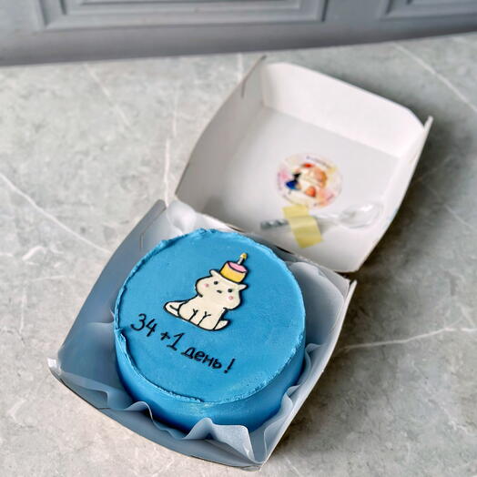 Bento Cat with cake - Prague