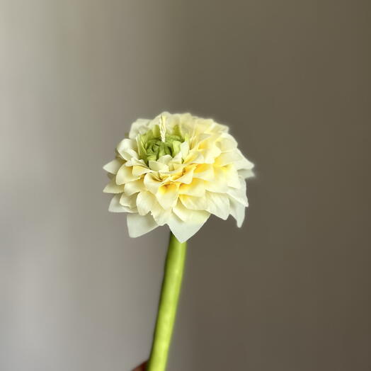 Handmade Dahlia candle - სანთელი გეორგინა