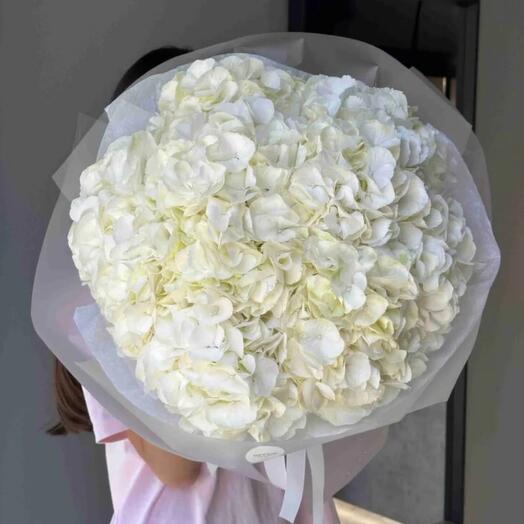 White hortensia 9 stems
