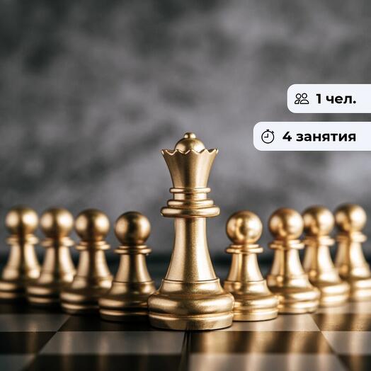 Королевство шахмат. Курс по игре в шахматы