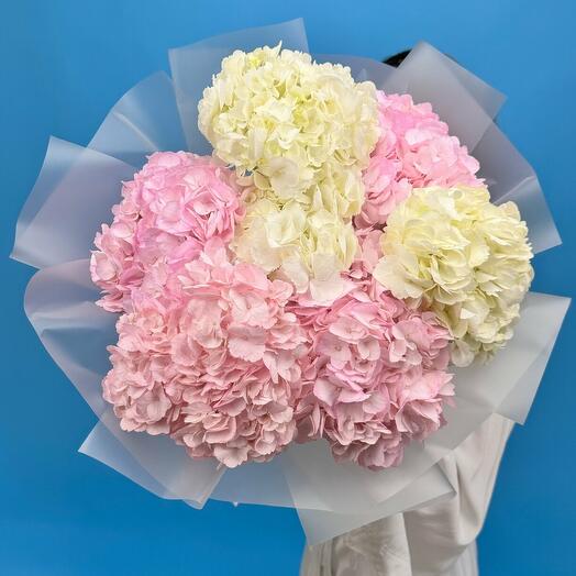 Пышный букет гортензий