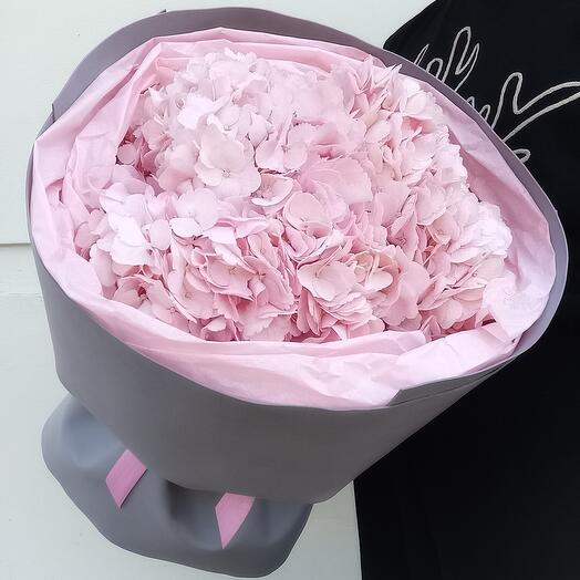 Rosa 9
