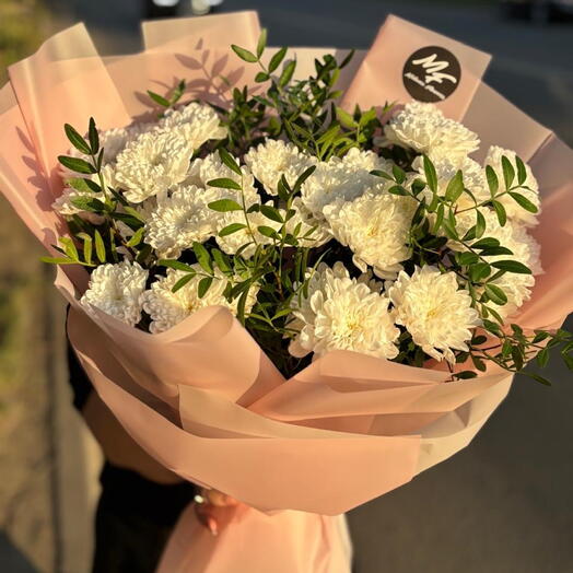 Чистые помыслы