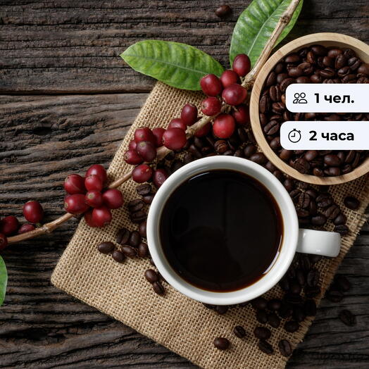 Кофейная грамота. Необычные способы заваривания кофе