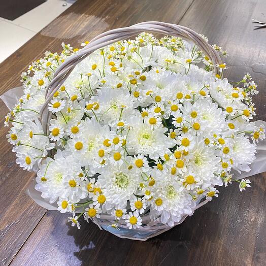 Хризантема с ромашкой в корзине 🌸
