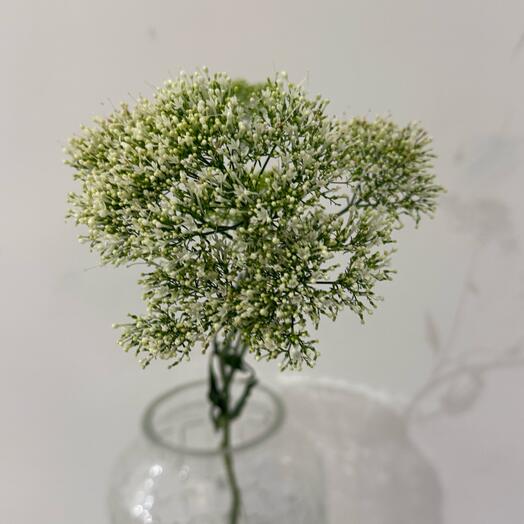 Цветы от цветочного дома «TIFFANY» green