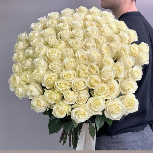 51 белые розы