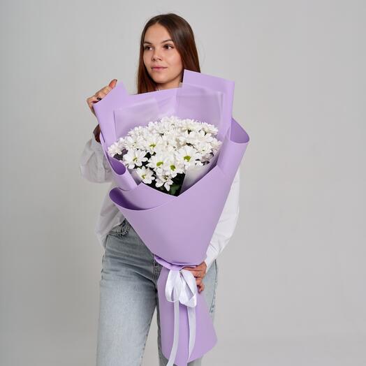 Хризантема ромашка, скидка 30%