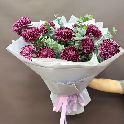 Красотки хризантемы винного оттенка