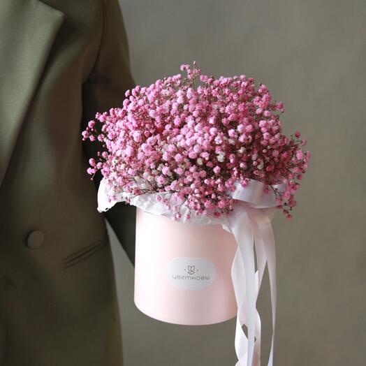 Цветы розовой гипсофилы в коробке