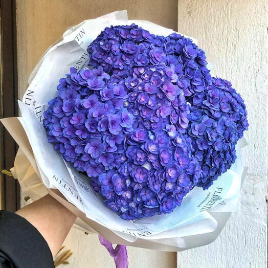 Tamno plave hortentzije (7)