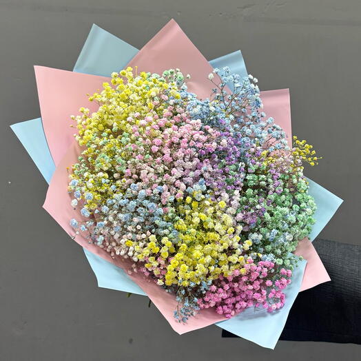 Радужная гипсофиса