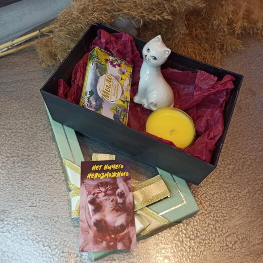 Нет ничего невозможного