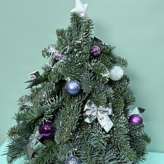 Новогодняя композиция из нобилиса