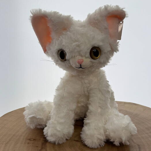 Кошка N 5