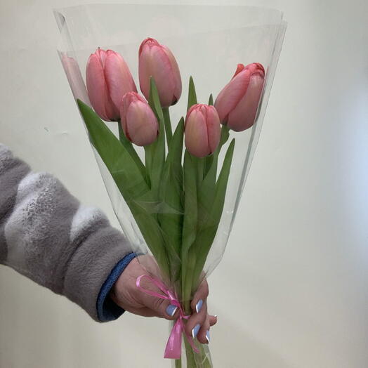 Тюльпаны 5шт