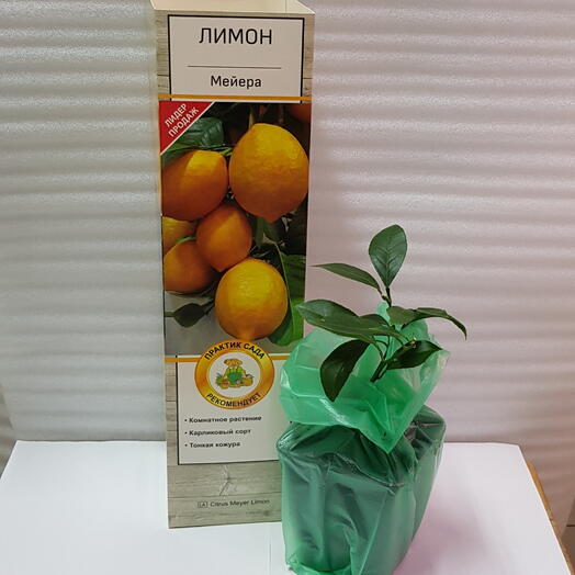 Лимон Мэйера
