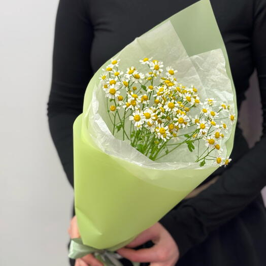 Букет комплимент с ромашками «Лучик»🌼