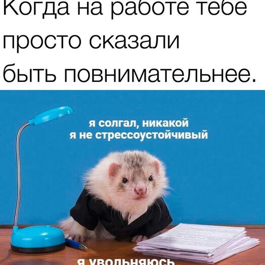 Тест косметика