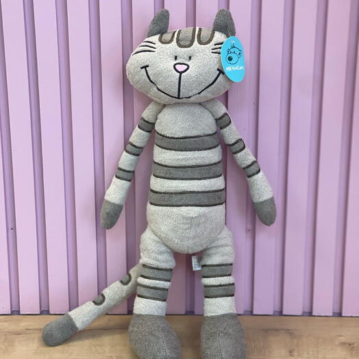 Кот полосатик