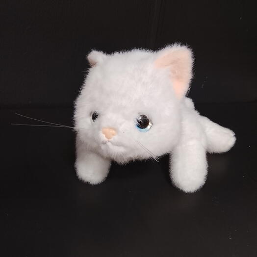 Кот