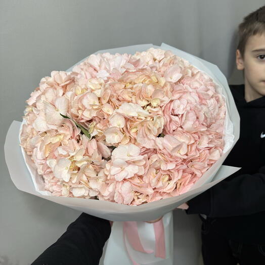 Букет из 7 Гортензий