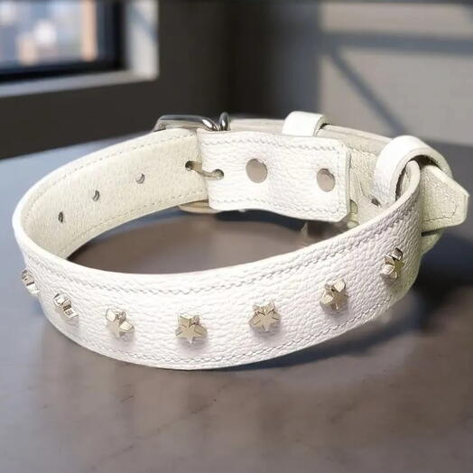 Ошейник  для собак белый