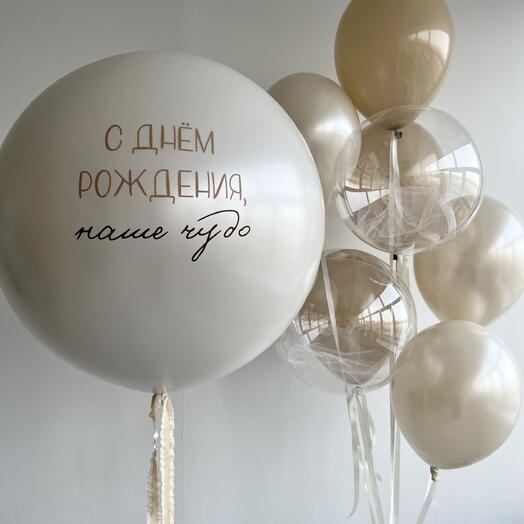 Шары с гелием на выписку из роддома 1149