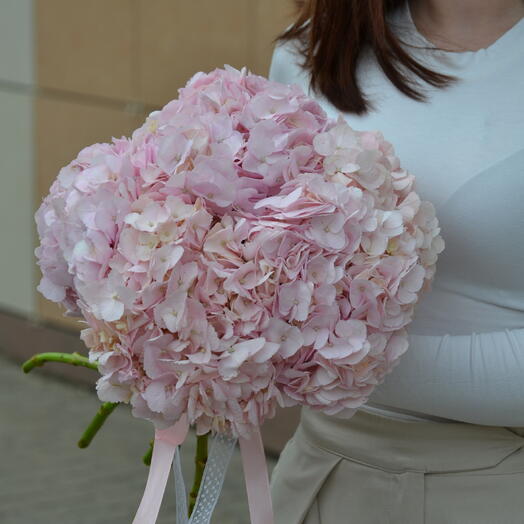 Букет из розовой гортензии 🌸