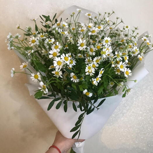 🦢Нежный букет из ромашек 008