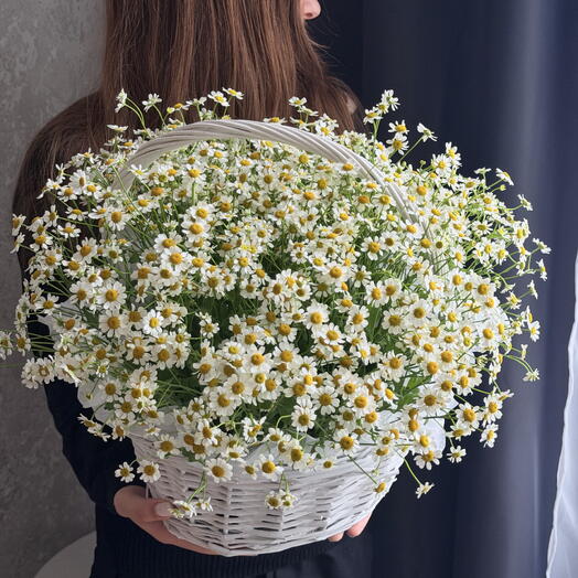 Корзина с ромашками