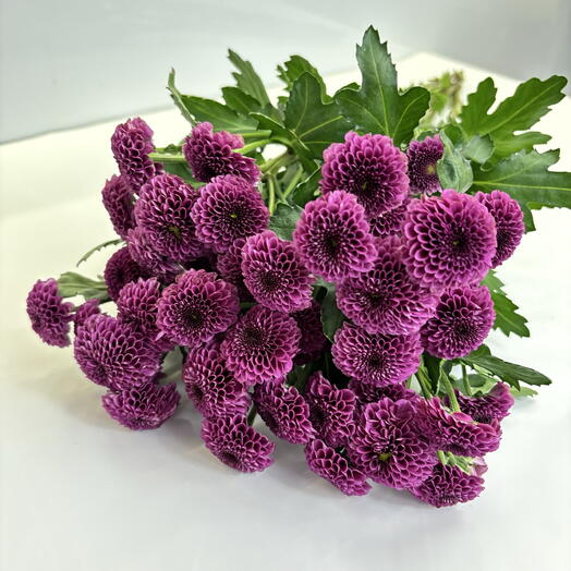 Пачка ягодной сантини (5шт)