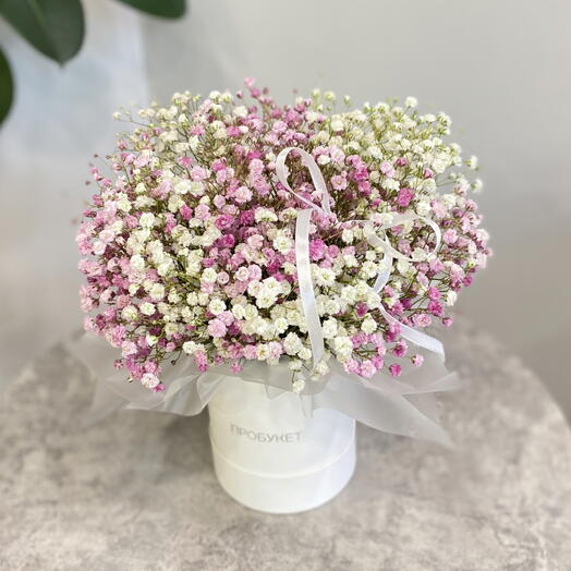 Бело-розовая композиция из гипсофил🎀