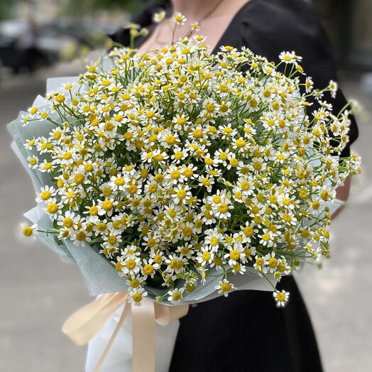 Букет из 15 ромашек💐