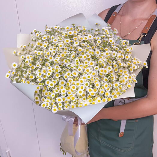 Букет из 81 ромашки
